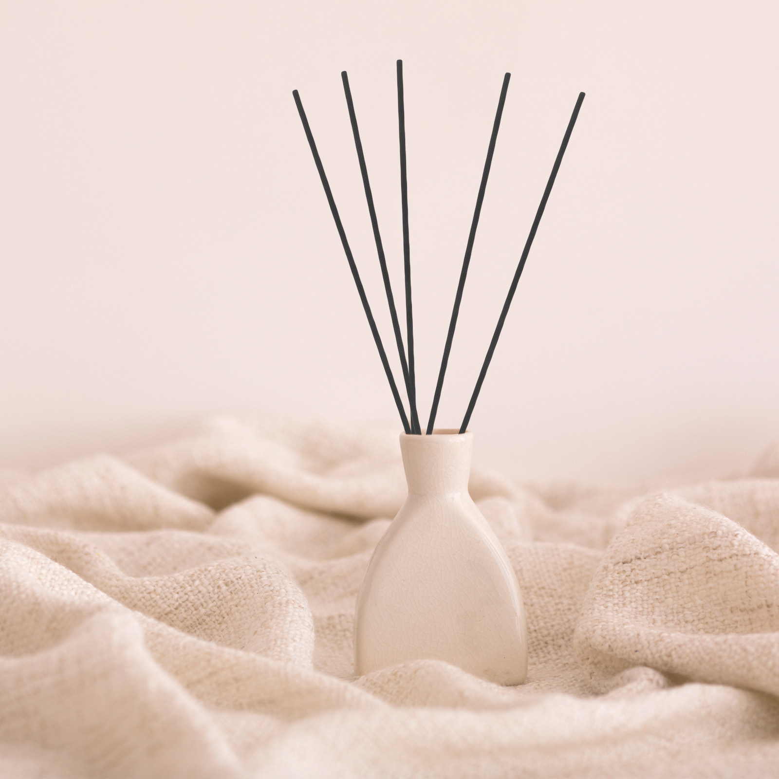 100Pcs Black Fiber Reed Diffus - Home Fragrance Reed Diffuser ulasan dan harga